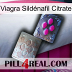 Viagra Sildénafil Citrate 38